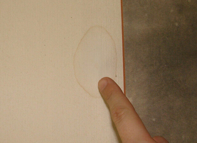 額装　西宮　外国人　シミ